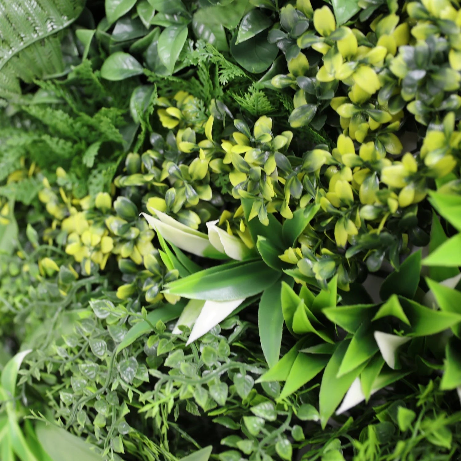 MiddleMarch Artificial Green Wall Panel Close Up - Grass Cash and Carry