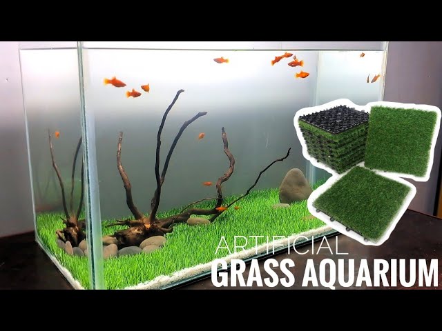 Aquarium Grass