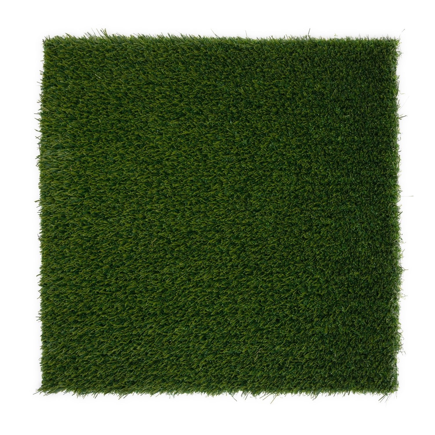 Sport 30mm Artificial Grass Sample - Grass Cash and Carry