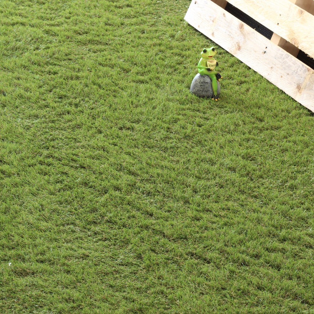 Stanton F 35mm Artificial Grass with frog ornament (wide angle)