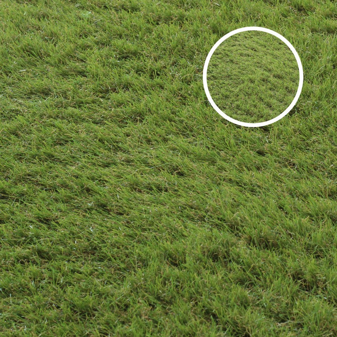 Stanton F 35mm Artificial Grass with close up
