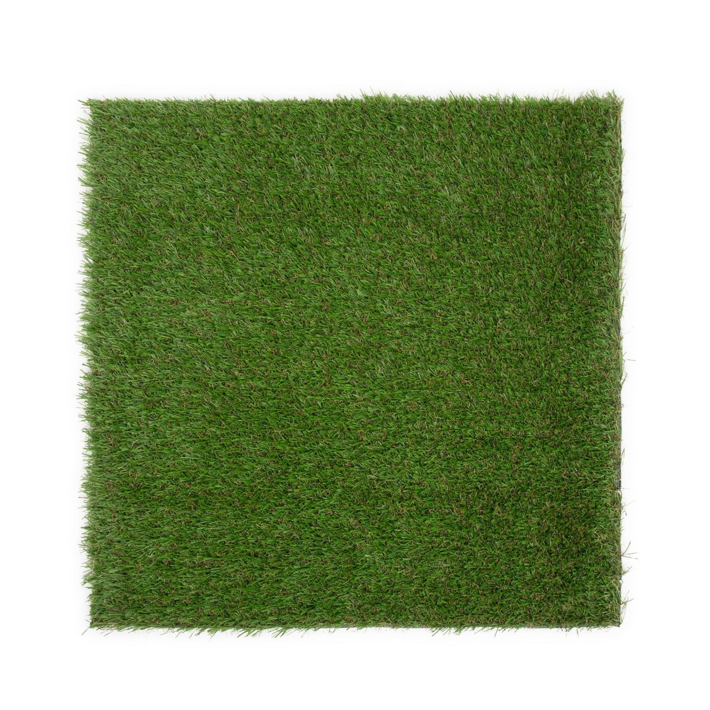 Toucan Wall Grass Sample - Grass Cash and Carry