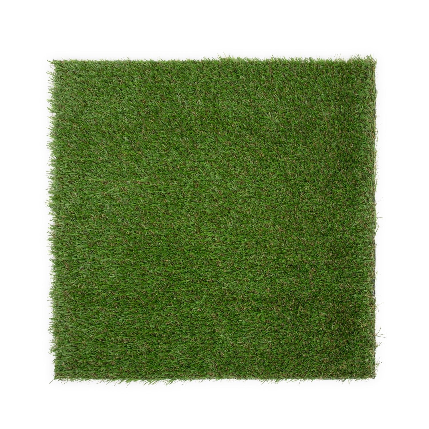 Toucan Wall Grass Sample - Grass Cash and Carry