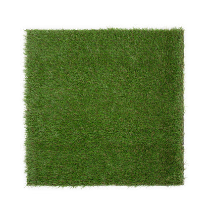 Toucan Wall Grass Sample - Grass Cash and Carry