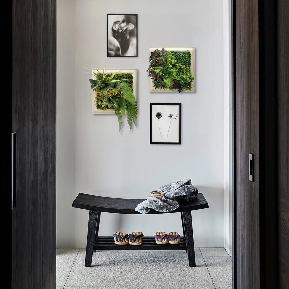 Vesta Frame - Grass Cash and Carry
