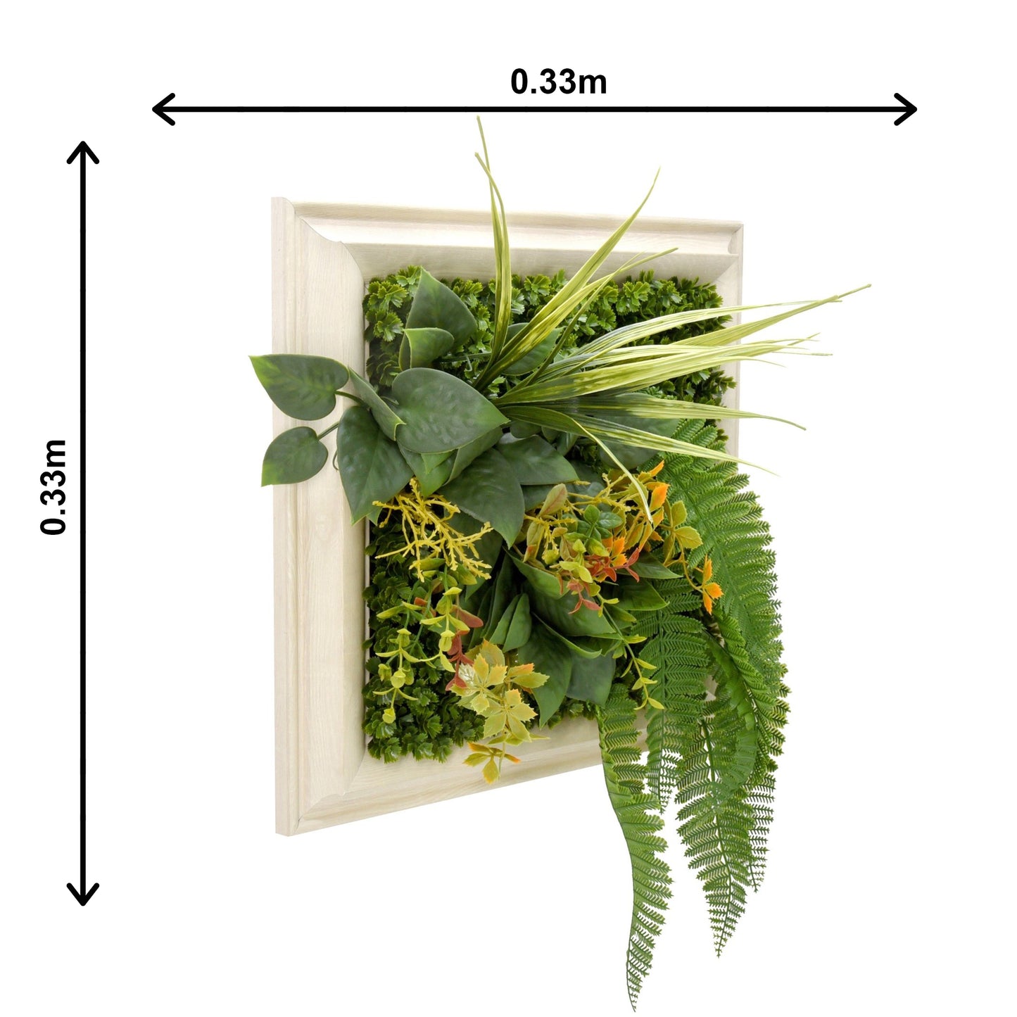 Vesta Frame - Grass Cash and Carry - image 2