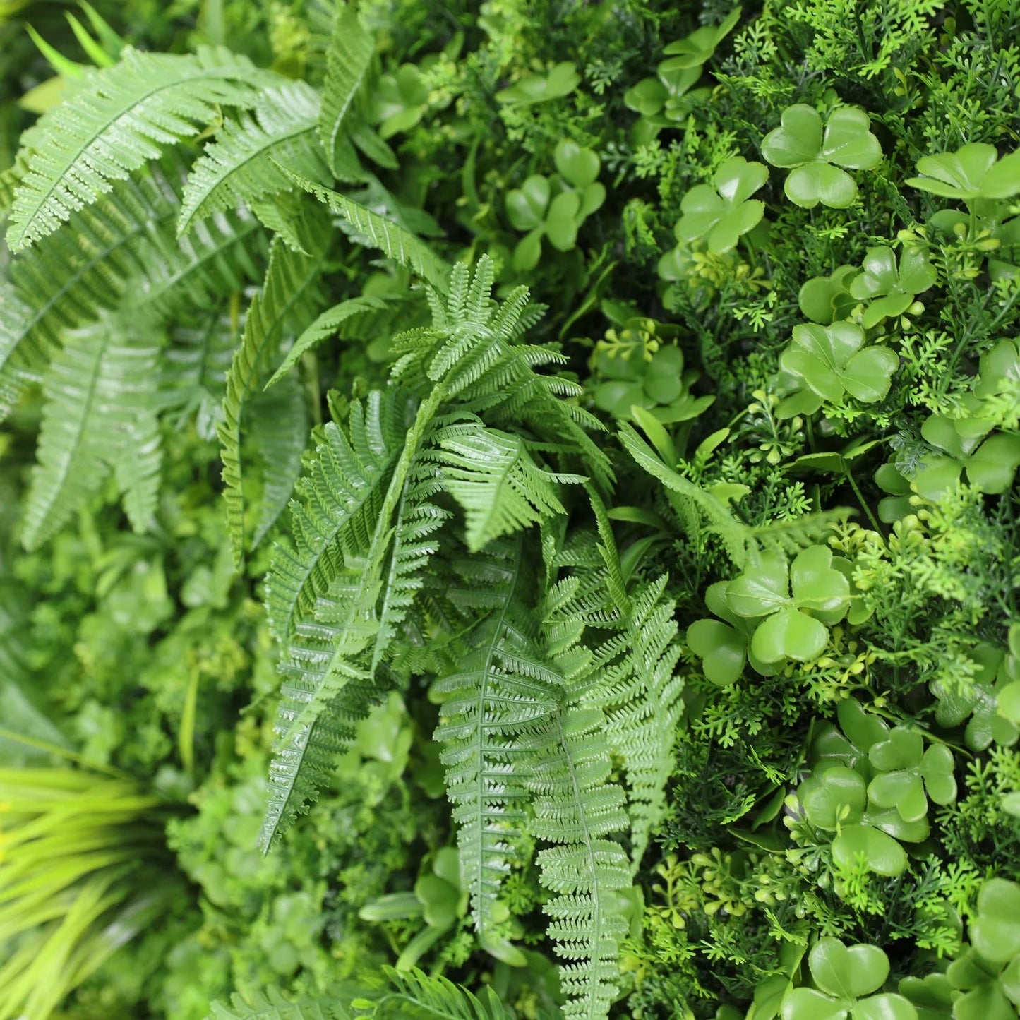 Vita Wall Panel - Grass Cash and Carry