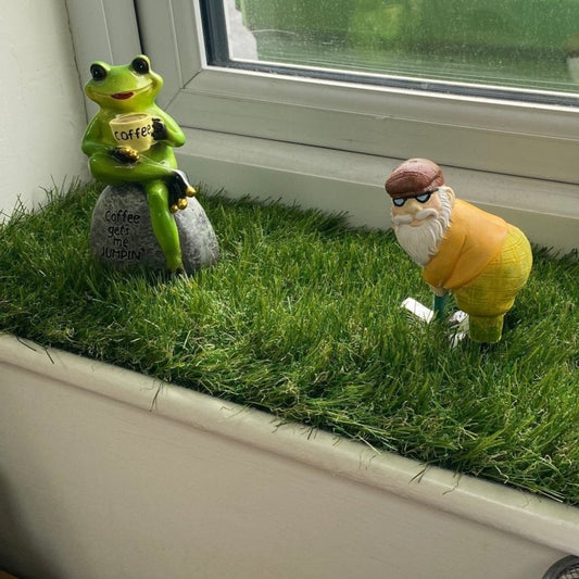 Wichita window sill grass - Grass Cash and Carry